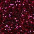 glitter-dark-pink-medium (1).jpg