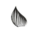 EYE060103 - Anthracite Essence.jpg