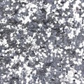 large-silver-glitter (1).jpg