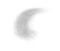 EYE030119 - Vivacious Maguari.jpg