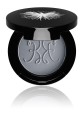 Grey Go-Away Lourie.jpg