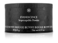 Evanescence Packaging-kopia.jpg